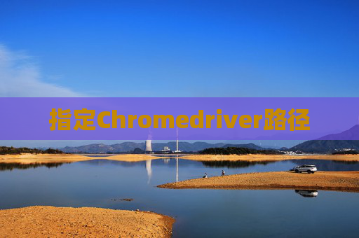 指定Chromedriver路径