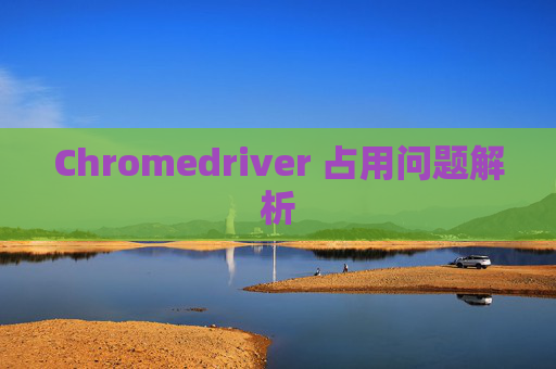 Chromedriver 占用问题解析