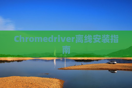 Chromedriver离线安装指南